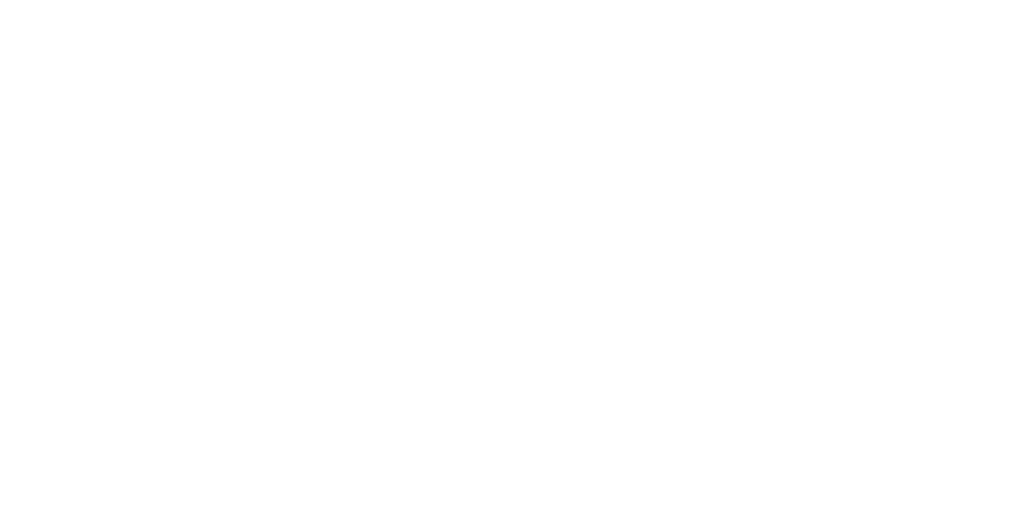 Bison Track Gear Logo